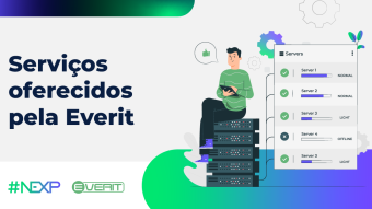 Desvendando as soluções inovadoras da Everit